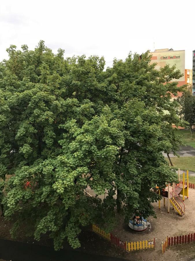 Apartment Kubo Vranov nad Toplou Luaran gambar